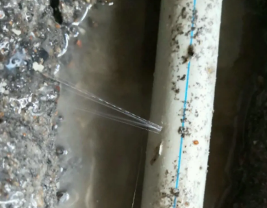 科尔沁右翼前测漏水哪家好