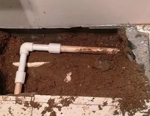 科尔沁右翼前测漏水哪家好