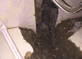 科尔沁右翼前卫生间测漏水哪家好