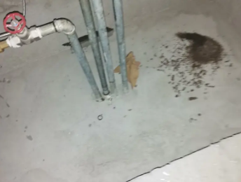 科尔沁右翼前卫生间测漏水价格明细