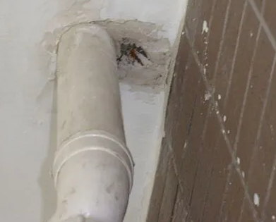 科尔沁右翼前漏水检测哪家好